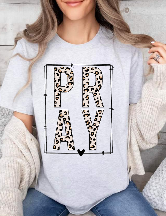 Pray (cheetah)
